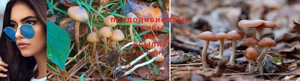 бошки Белоозёрский