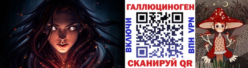 наркошоп  Югорск  Псилоцибиновые грибы Psilocybe 
